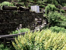 Image 01